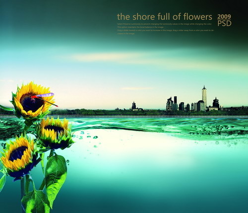 2009ˮ�����ز�PSDģ��