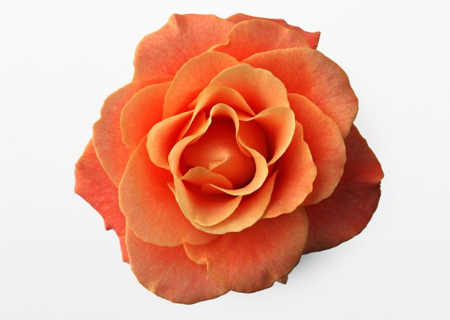 õ�廨
