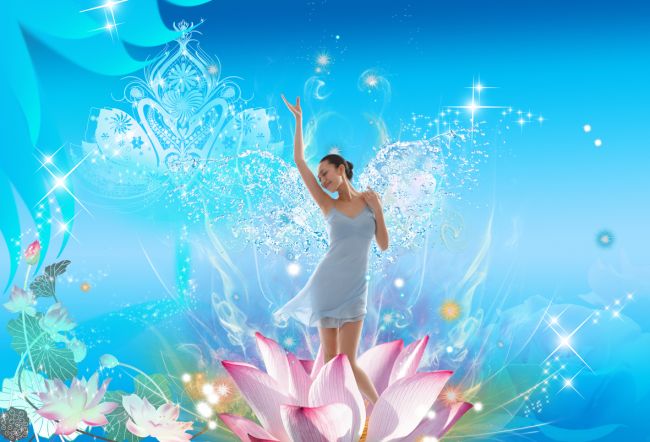 վ�ںɻ��е�����