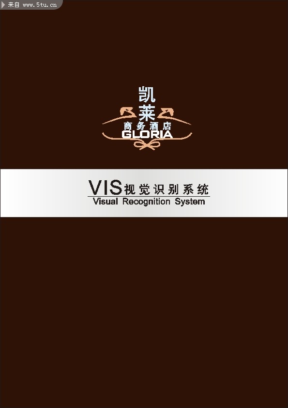 �Ƶ�����VIģ������