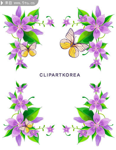 时尚花朵图片