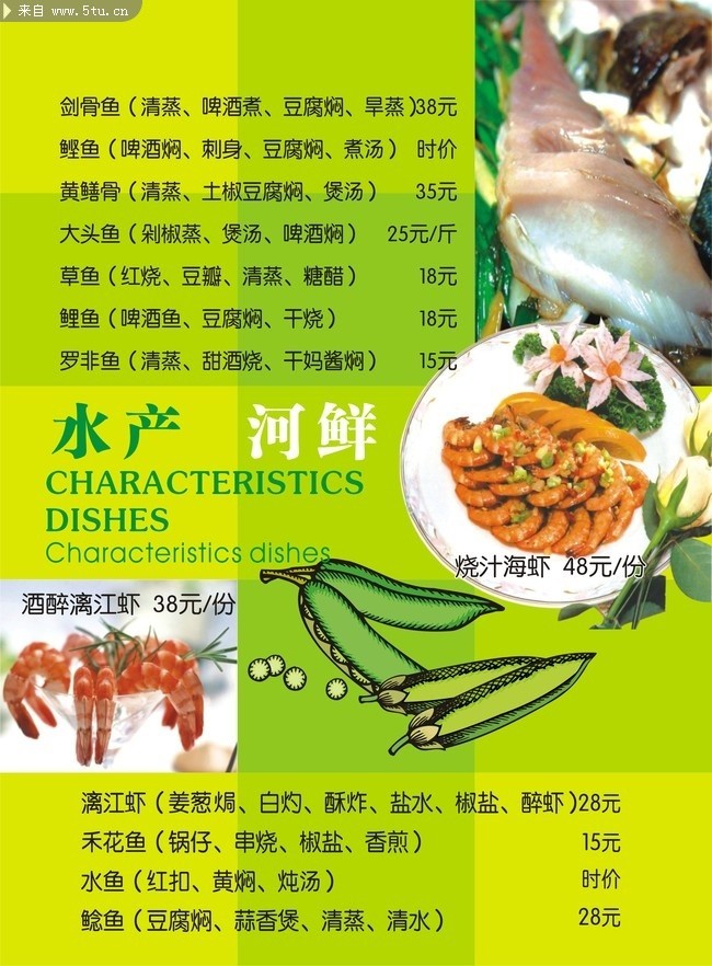 �ŵ侫������