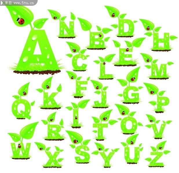 ��ɫ��̬��ĸ����