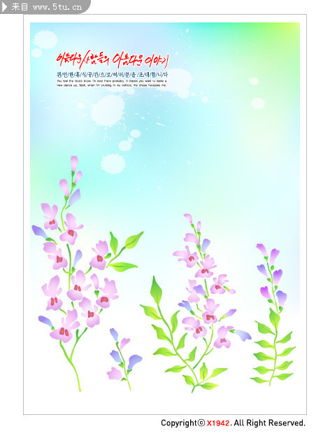 ��ɫ���챳��