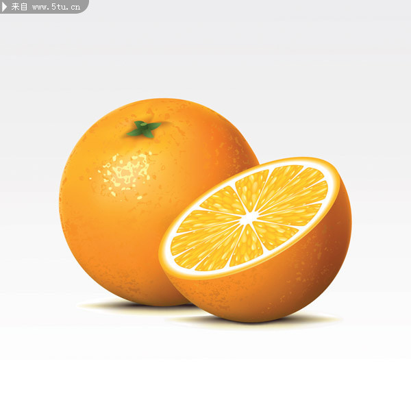 �㽶ʸ��ͼ