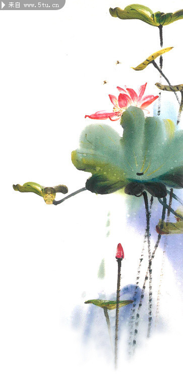 水墨荷花画