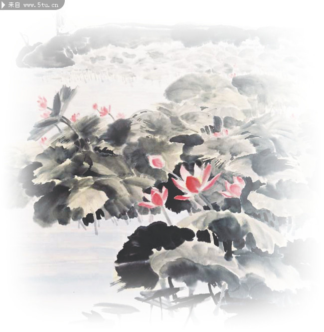 水墨荷花画