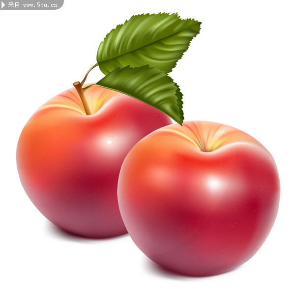 ƻ��ʸ���ز�