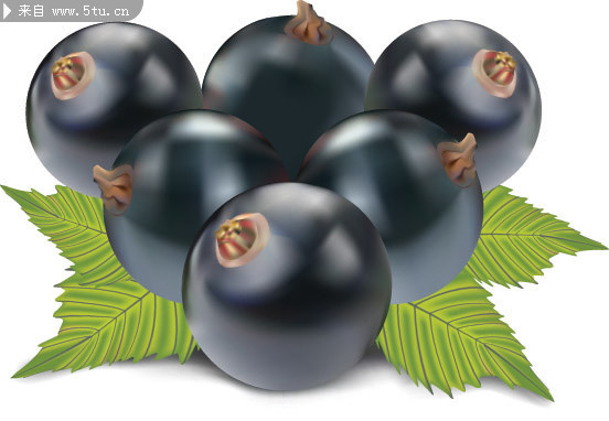 ����ʸ���ز�