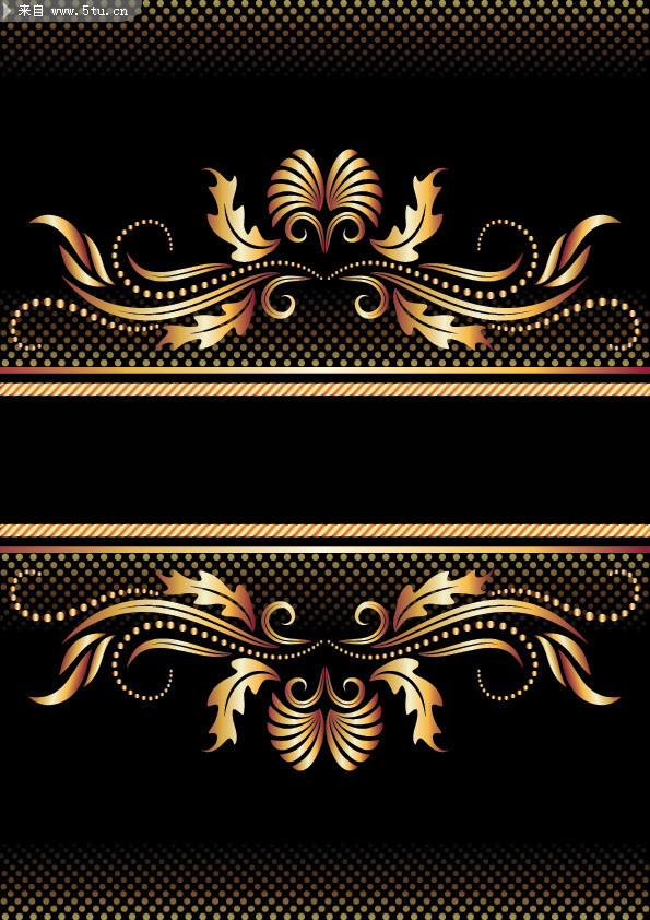 �߹��ɫŷʽ����