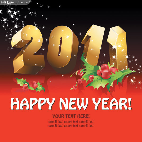 2011ʸ������