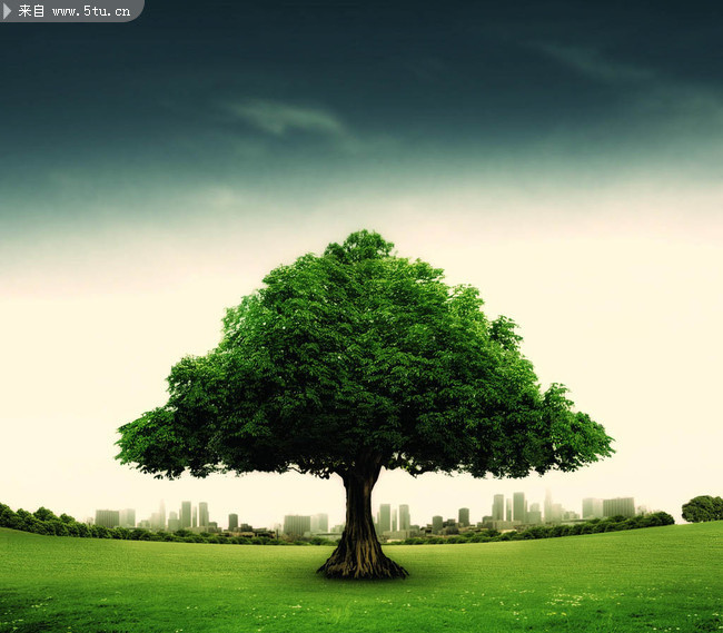 һ������ͼƬ ����ͼƬ�ز�