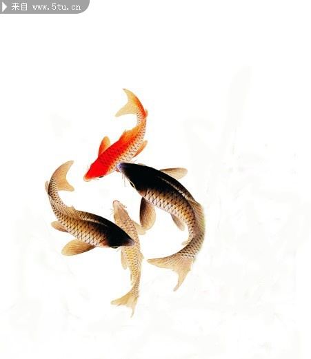 ˮī�㻭 