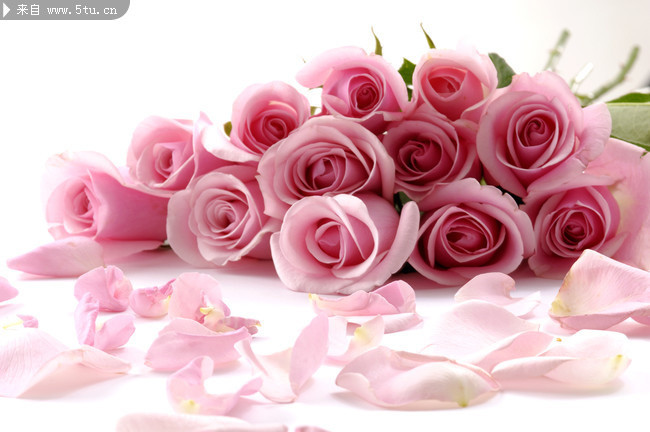 �ۺ�õ��ͼƬ ɢ�仨����Ƭ