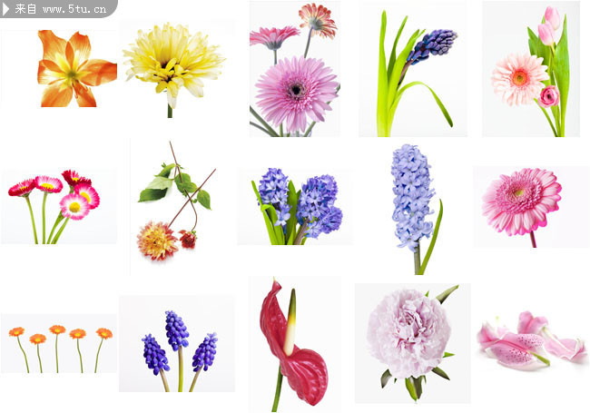 ���ϻ���ͼƬ �ʻ���д
