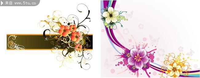 鲜花矢量图 花卉背景