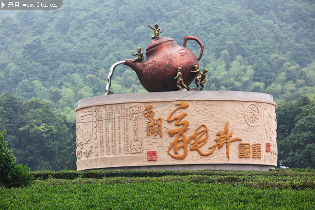 茶园图片 清新绿色背景
