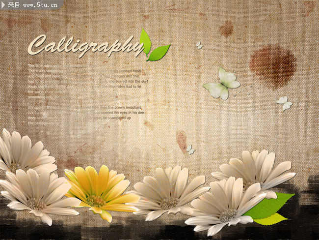 �鲼���� �ջ�ͼƬ�ز�  