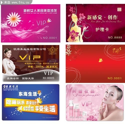 ����ҵVIP��ģ�� 