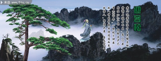 ��ɽӭ����ͼƬ �����ķ羰��Ӱ