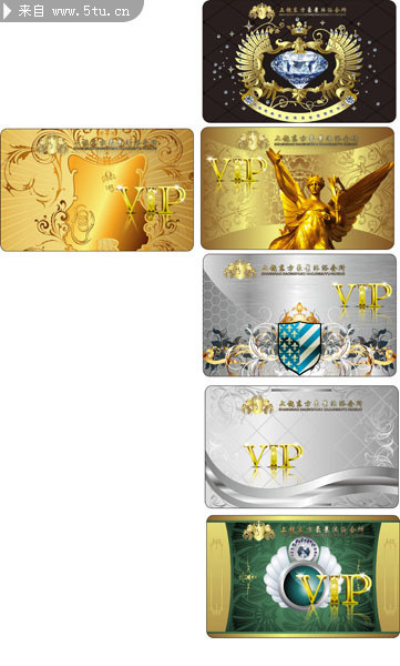 �������VIP��Ա��ģ�� 
