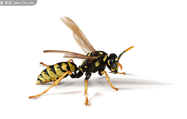 3D�۷�ͼƬ ����дʵ�ز�