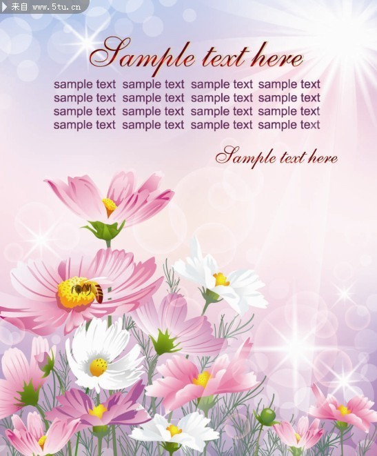 �ջ�ͼƬ ��ܰ�����ز�