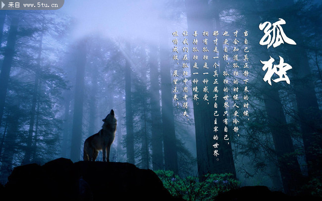 �羰��ᱳ���ز�
