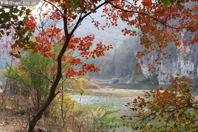 �콭�������� 