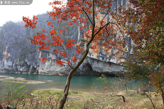 �콭�������� 