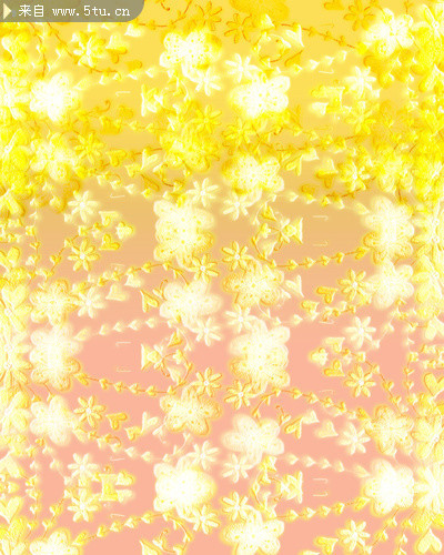 光满照耀下的花卉