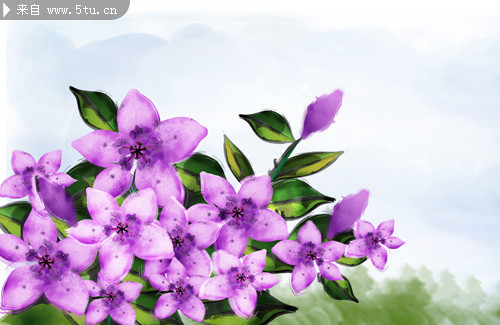 �򵥻���ͼ���ز� ��ɫ�Ҿ�ǽ��ͼƬ