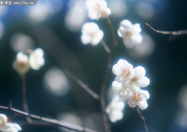 �滨��ӰͼƬ 