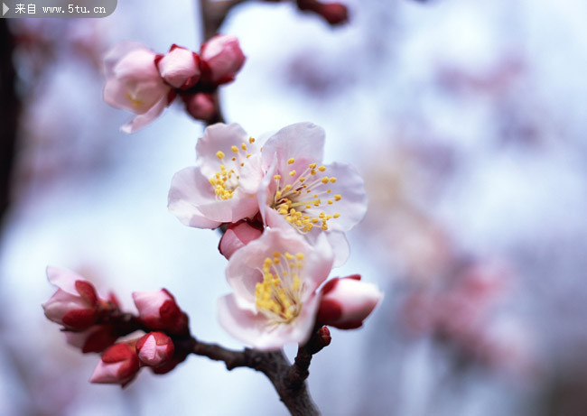 �һ�΢��ͼƬ Ư�����䱳��ͼ