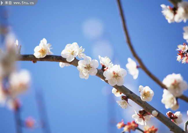 �һ�΢��ͼƬ Ư�����䱳��ͼ