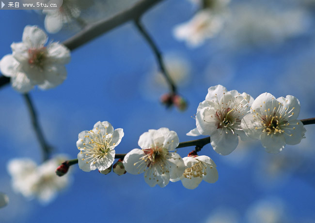 ��ɫ�һ�����ͼƬ �����һ���Ӱ