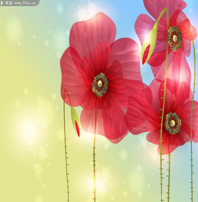 红花矢量图 鲜花无框画素材