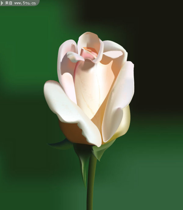 ��ɫ����õ��ʸ��ͼ