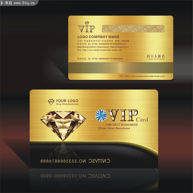 VIP��ʸ��ģ������ 