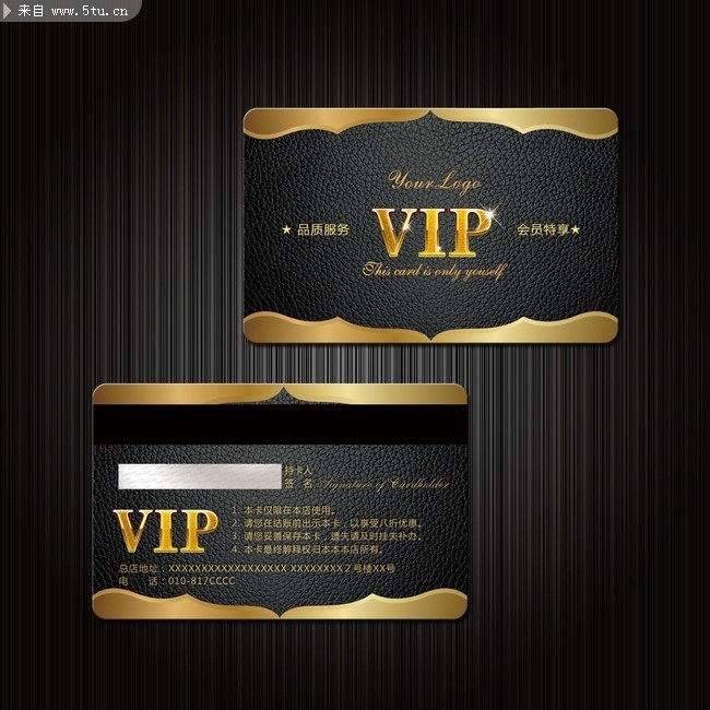 Ƥ������VIP��ģ������