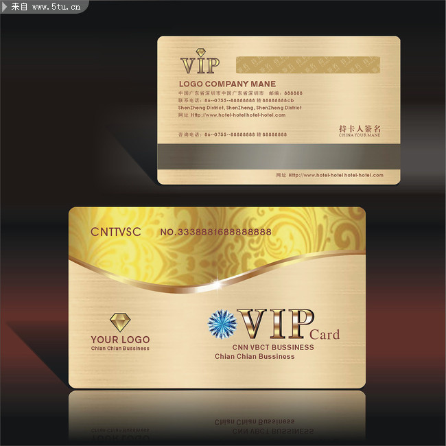 ���VIP��ʸ��ģ��
