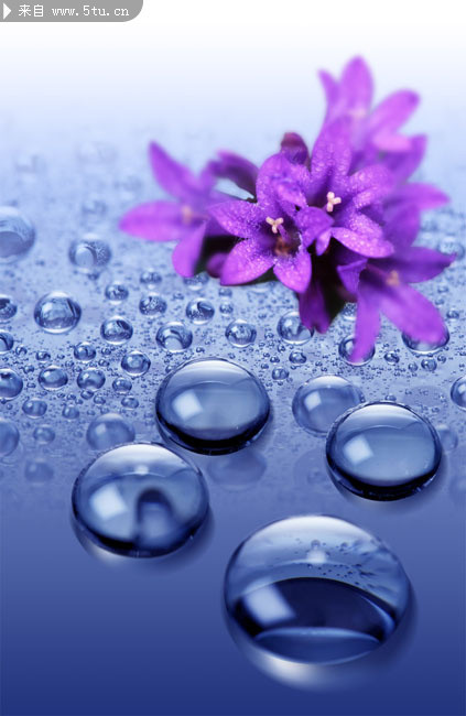 ˮ�鱳��ǽ�ز�