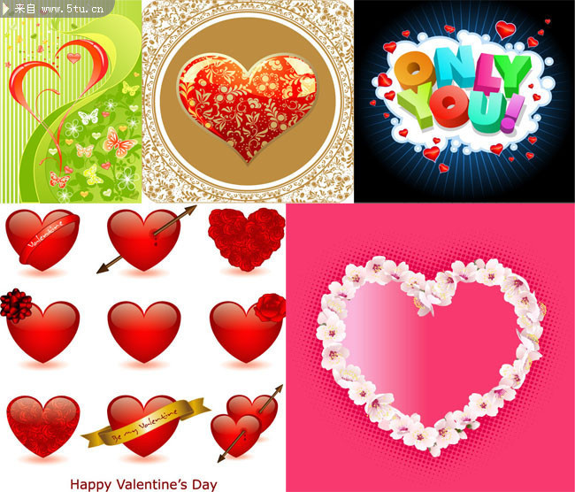 2013���˽ں���ʸ���ز�