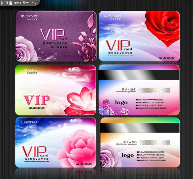 ����VIP������ Ů��SAP�����ģ��