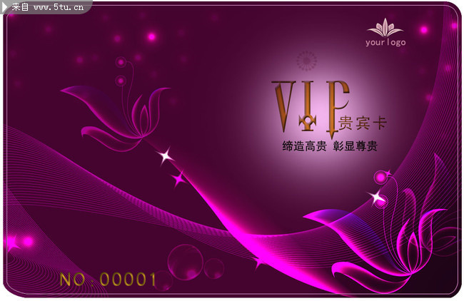 ����VIP�����ģ��