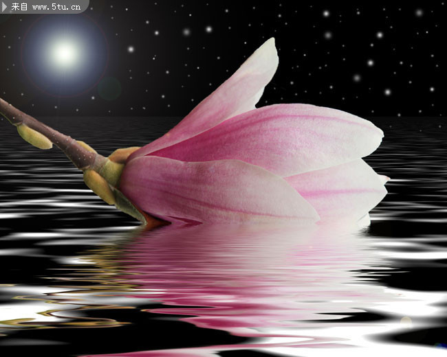 ˮ���ʻ�ͼƬ �ʻ���Ӱ��Ƭ 