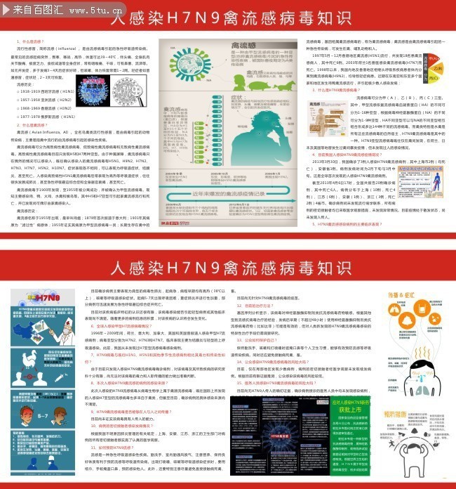 �˸�ȾH7N9�����в���֪ʶ������
