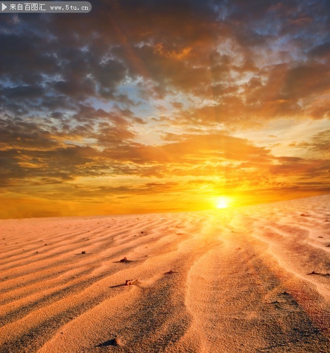 ɳ̲����ͼƬ����