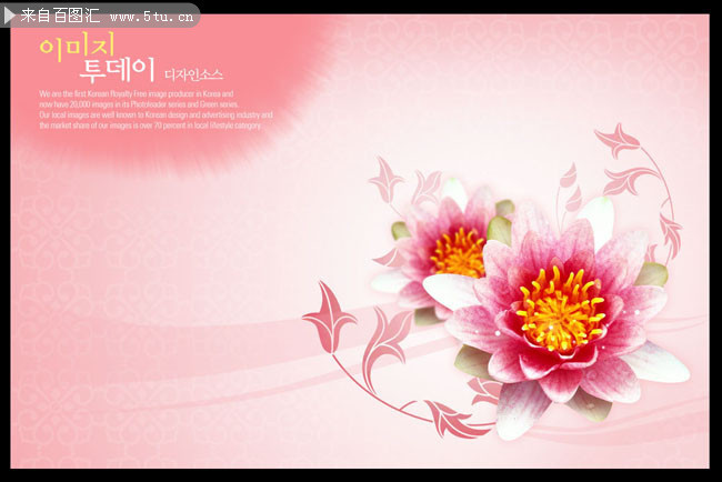 �ۺ�ɻ�ͼƬ ��ɫ�����ز� 