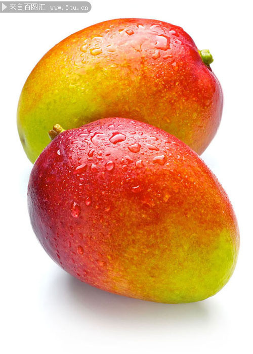 ����â��ͼƬ